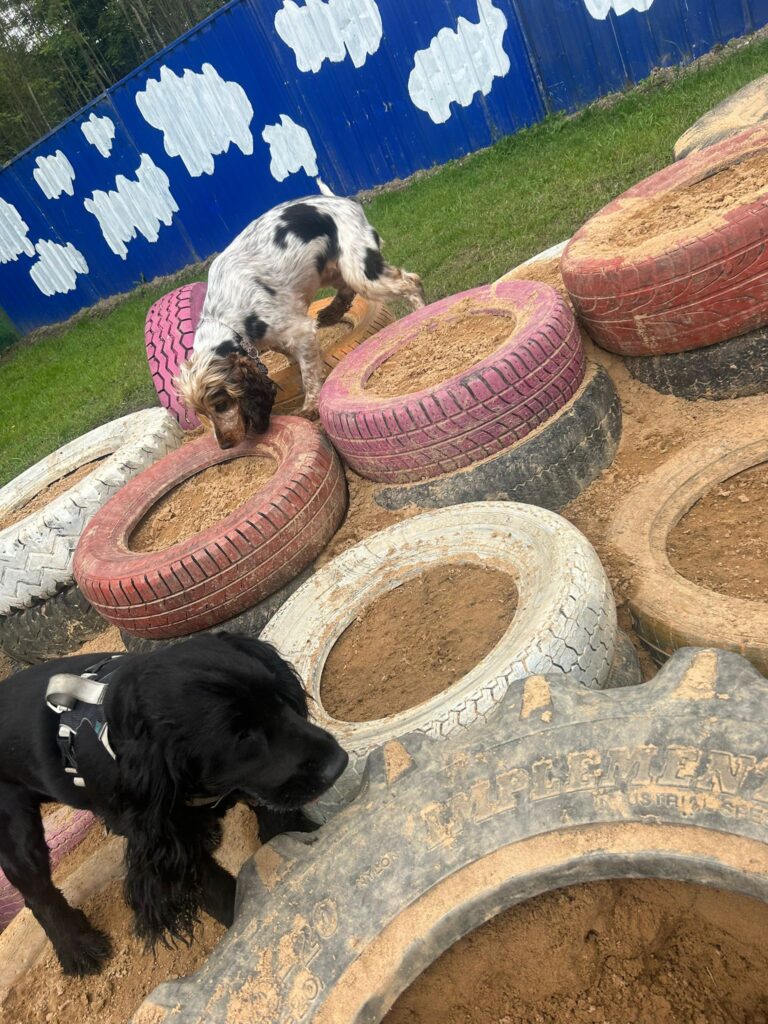 2296 61eed3beffff73fc0bce5d21e5ecb6cc 1 768x1024