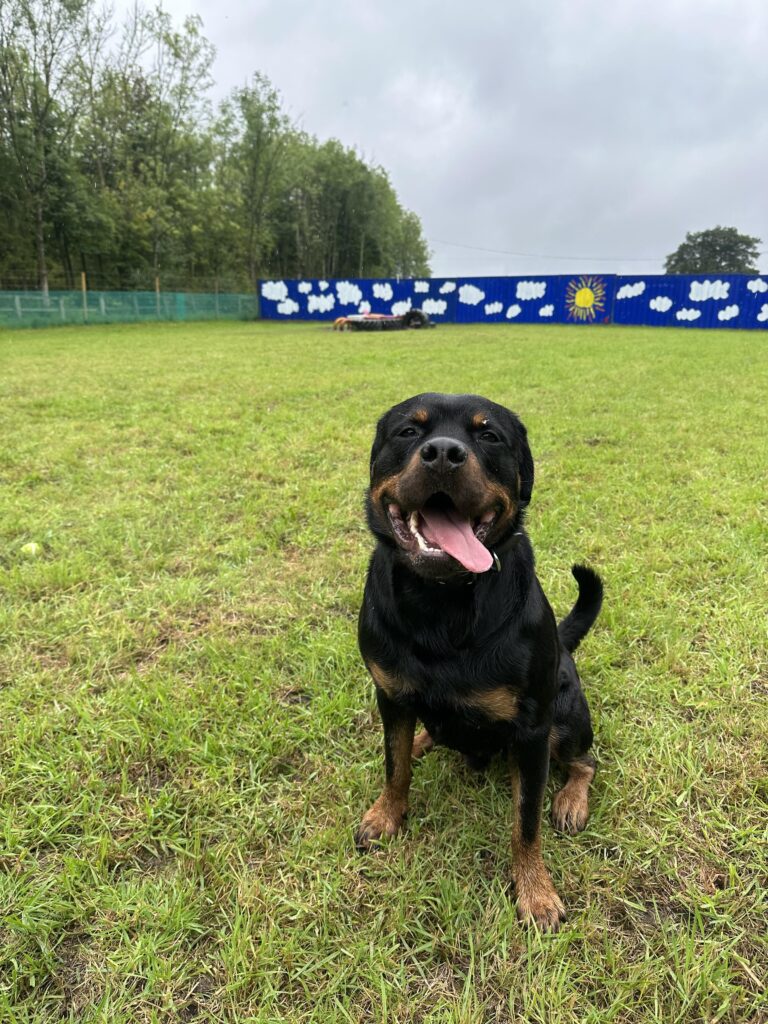 2296 63fdcf1f405f5c21bbeca308ba0a76f1 1 768x1024