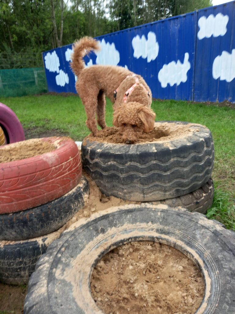 2296 7ee036c7bee784a3e8b62ae390ca751f 1 768x1024