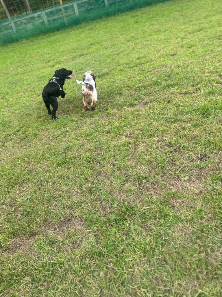 2296 852ac2c3b823e61296908cbdafdb9bb1 1 768x1024