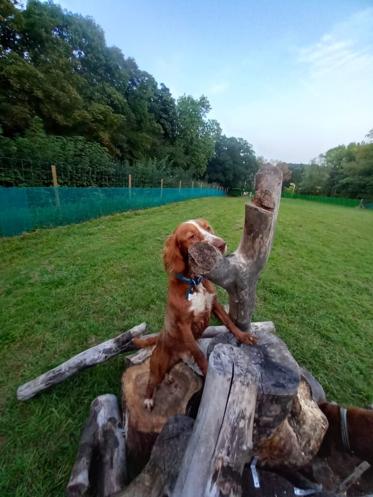 2296 961a11e0e959c7b0fceebf393cbd13aa 1 768x1024