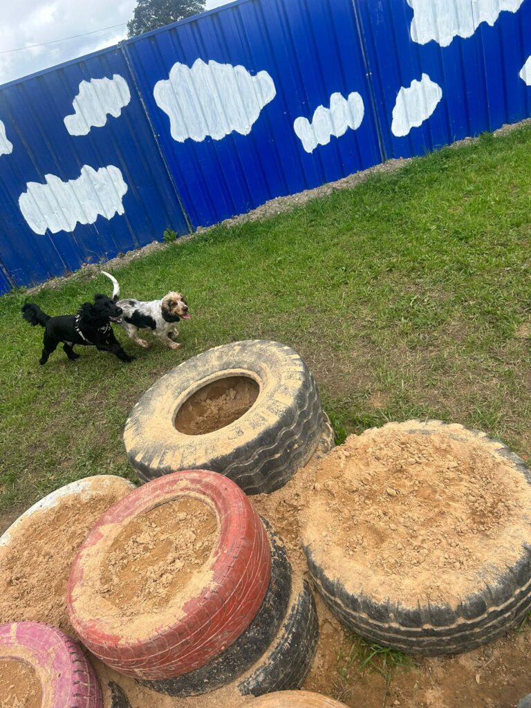 2296 987604d6c372e208a436a55e8ea3e246 1 768x1024