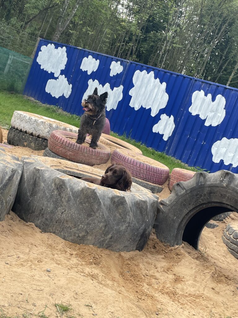 2296 9f9faf80db7f221ec4bccd46ed116f0b 1 768x1024