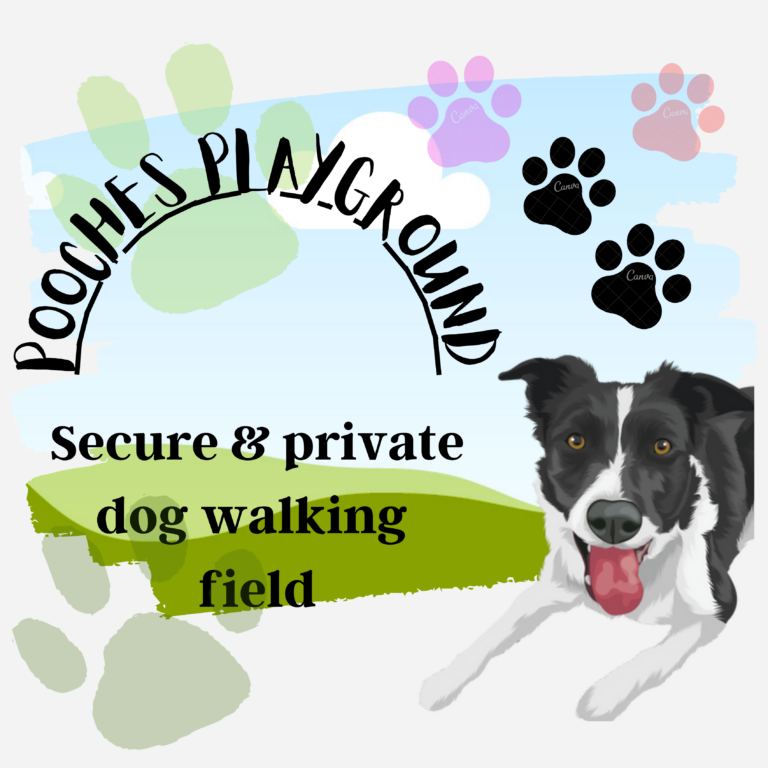 2296 a3889563486cedd0e5c8ec956013da48 1 768x768