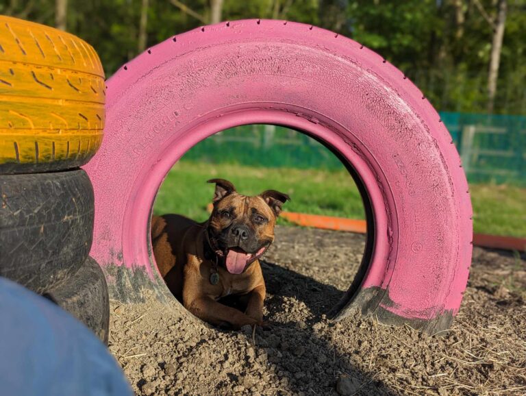 2296 a651beadb70992d12d350ba1a825e513 1 768x578