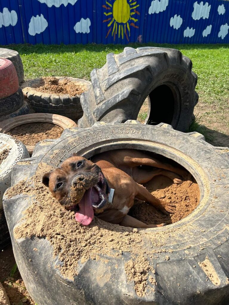 2296 b0ee878f1b0995aea0e31e3ff21c69fa 1 768x1024