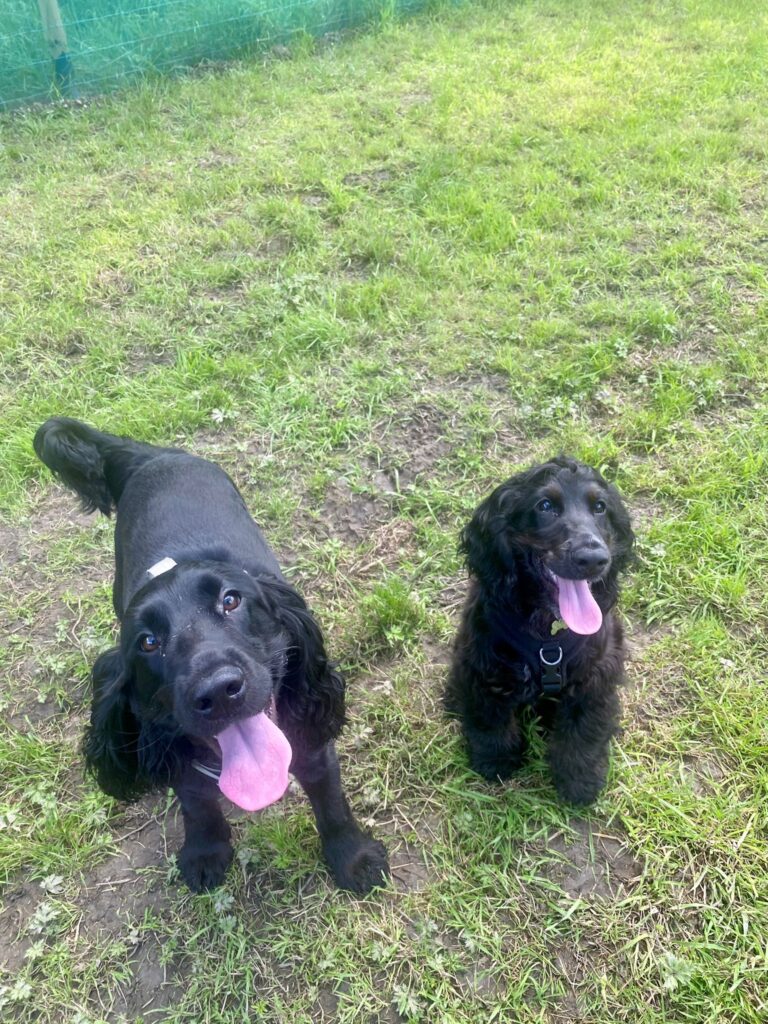 2296 bf69ea4d0c2d218e46e4f27972bb1b66 1 768x1024