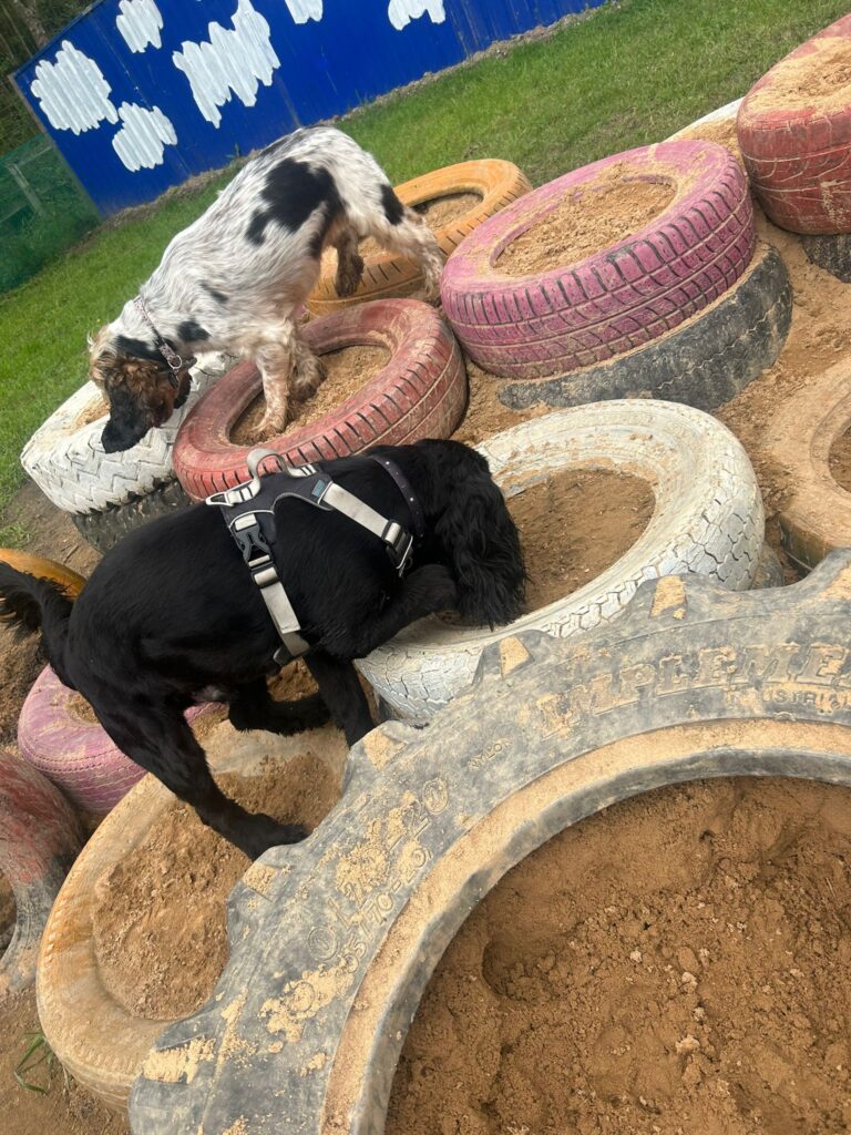 2296 d102ba83769b67a507be992498f68348 1 768x1024