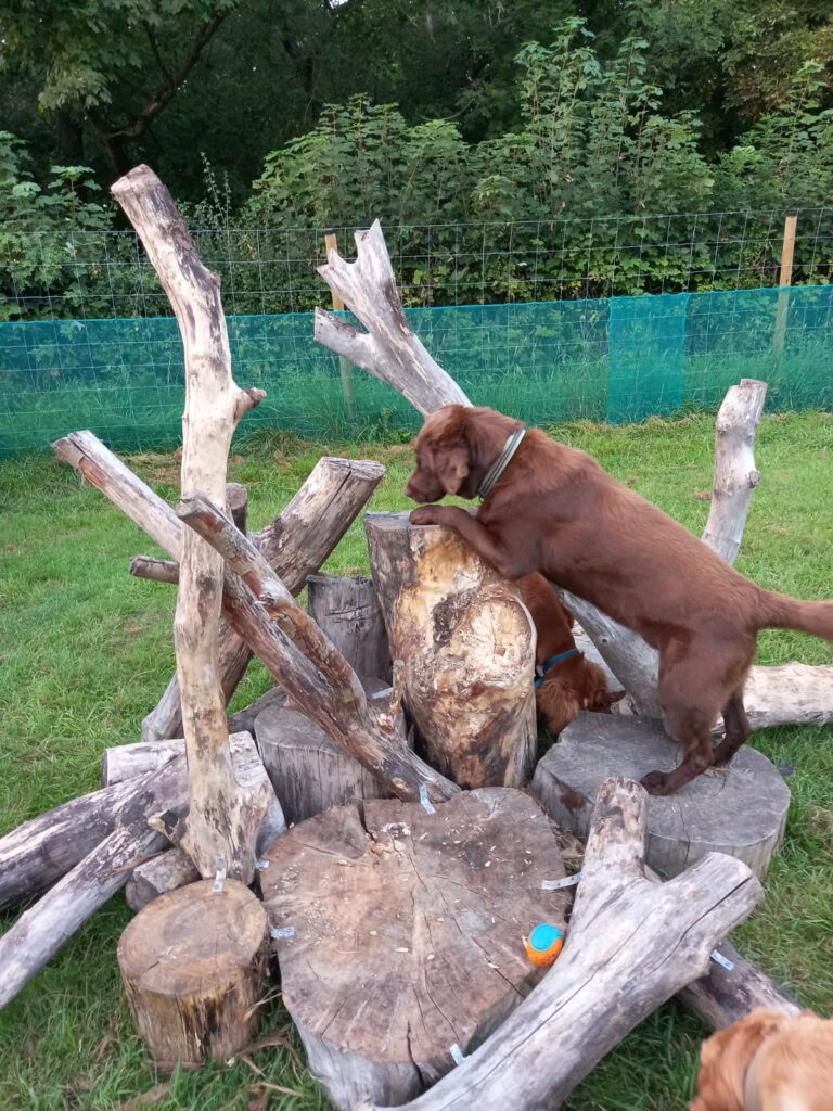 2296 f942b594b1ece92b3a1eb34a1a09497d 1 768x1024