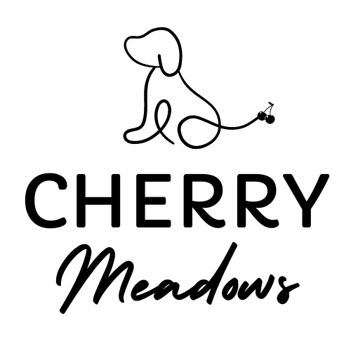 2298 006f3b06bf5a3a9e46eb0dddc77cee79 1