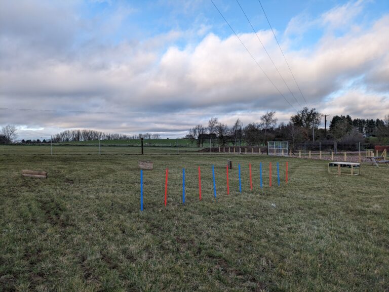 2298 08886c58de169ba482704a94d09ac7e7 1 768x577