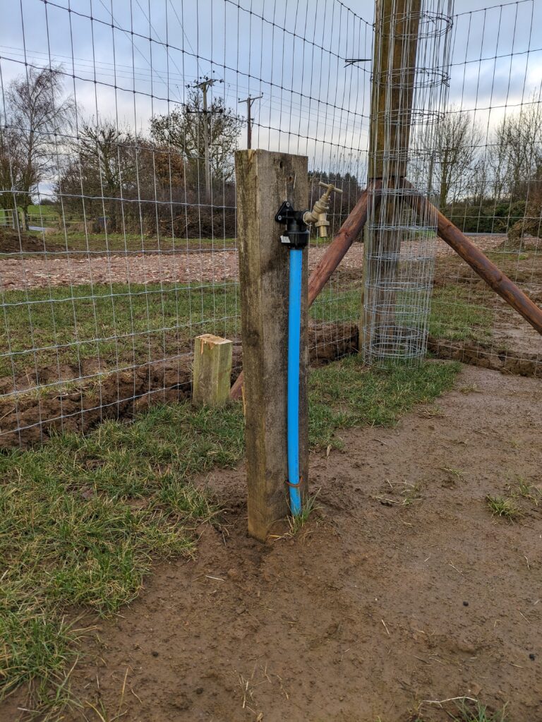 2298 87b25a4a7ae2130c795b31cbede84a57 1 768x1023