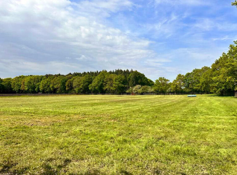 2301 01d687600c5f62b8fa630d73888a74c3 1 768x567