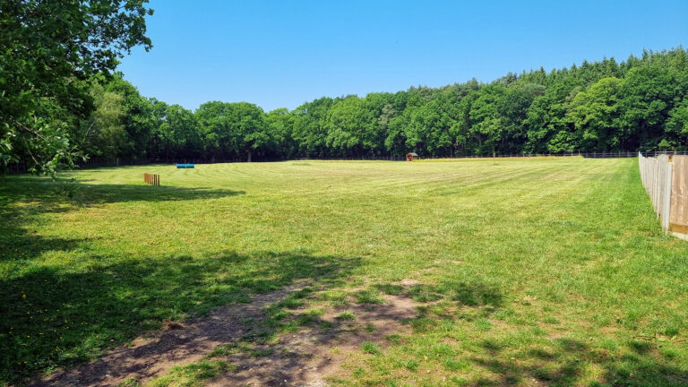 2301 120a26ec76f2122f954973155d712b3f 1 768x432