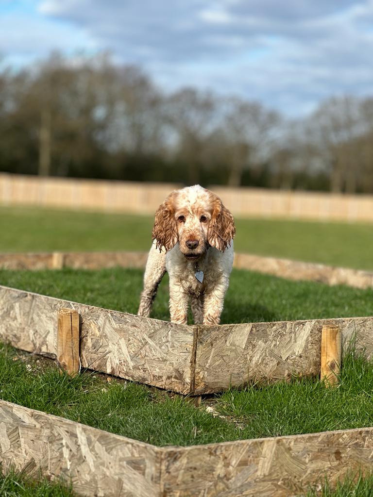 2301 4b64908e2bfb2a88336956a0afca6e52 1