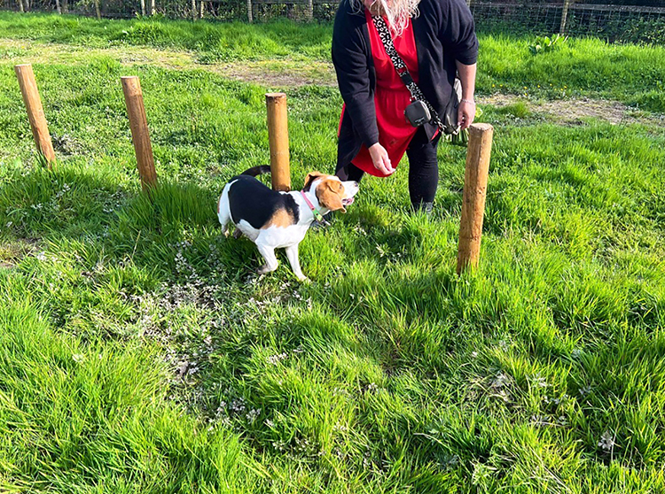 2301 4e81144aa099cd3869cec0d9c0d0f26e 1