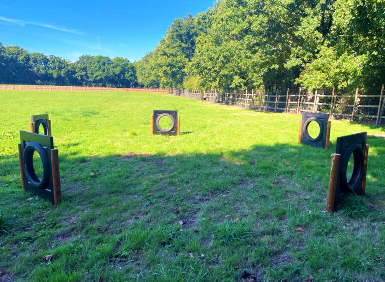 2301 589eb39c9e26d8401247132ca6ca7a0f 1 768x563