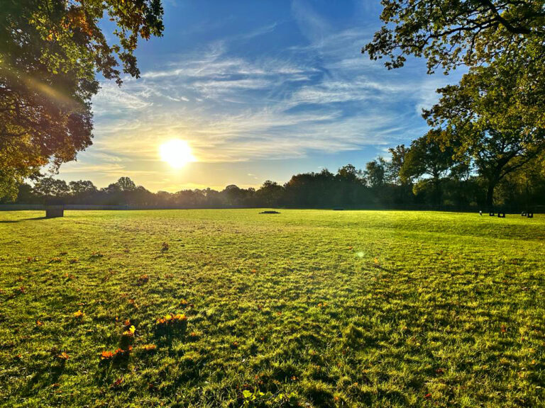 2301 df0623d6390a4e9a3ac582ba69d3a0df 1 768x576