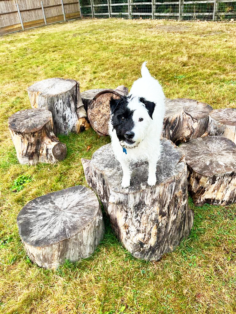 2301 ef099d55c7a6043a6af75fdb2ee2e6b2 1