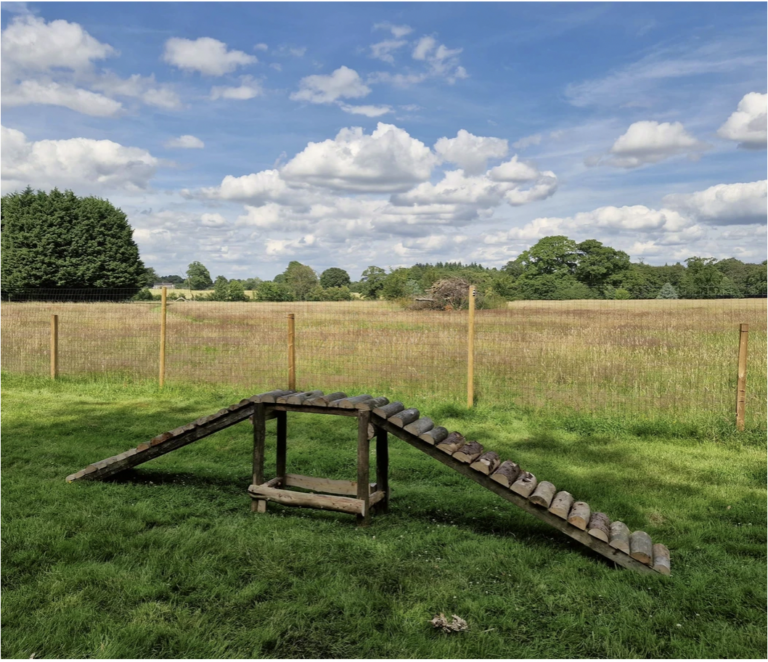 2304 4f47dca1e7a7159f047383e6a6cf34b2 1 768x662