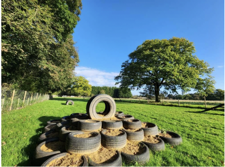 2304 874de393e9345bc16246bd3fc03f45c0 1 768x573