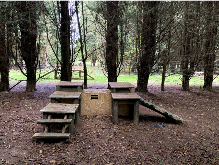 2304 c7817fc2eee0b65953df4364673faa5f 1 768x578