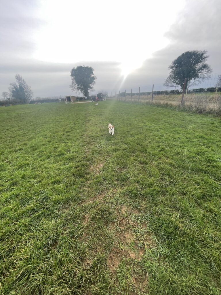 2305 2a9497ae6d9f5adada3f8d4d75ca0f14 1 768x1024