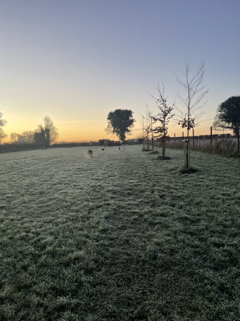 2305 730dd070eec5fd019afe45efedf5d4ff 1 768x1024