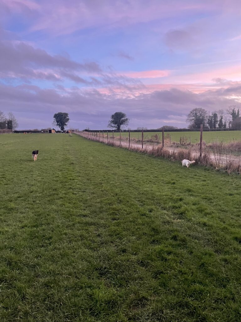 2305 899257f7d3a4d92b57aaca8e854343d8 1 768x1024