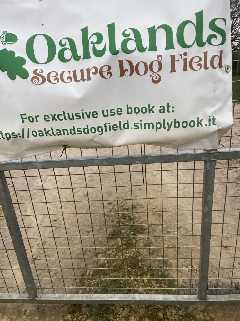 2305 ada1238317cfd2341651a7d011b0c125 1 768x1024