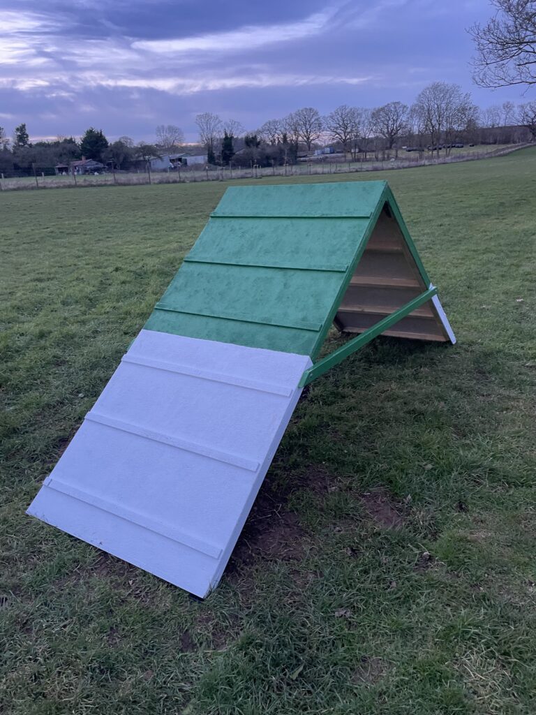 2305 b537eefe3d7856346ff692ba56821d8d 1 768x1024