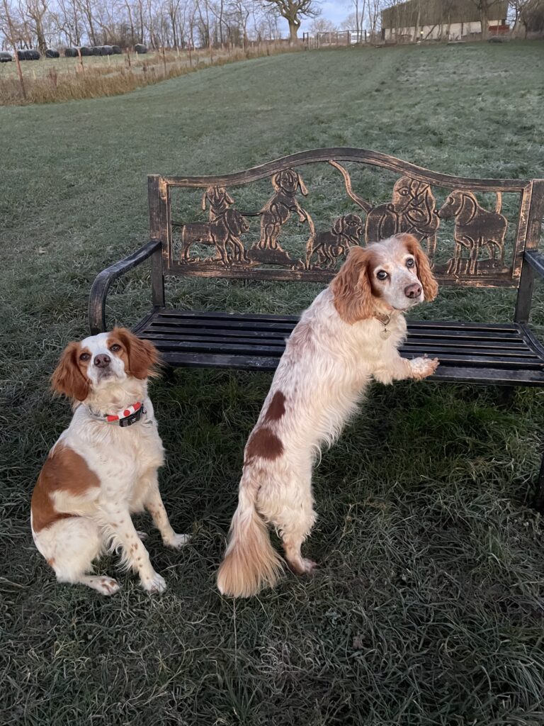 2305 c346886afcacdefd3348efd54eca8b7c 1 768x1024