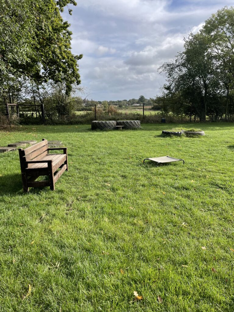 2305 c8b21076452e849371115e333ff4ac72 1 768x1024