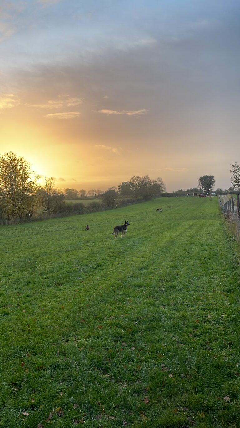 2305 d254b5315521b200b82bedf6aa753586 1 768x1365