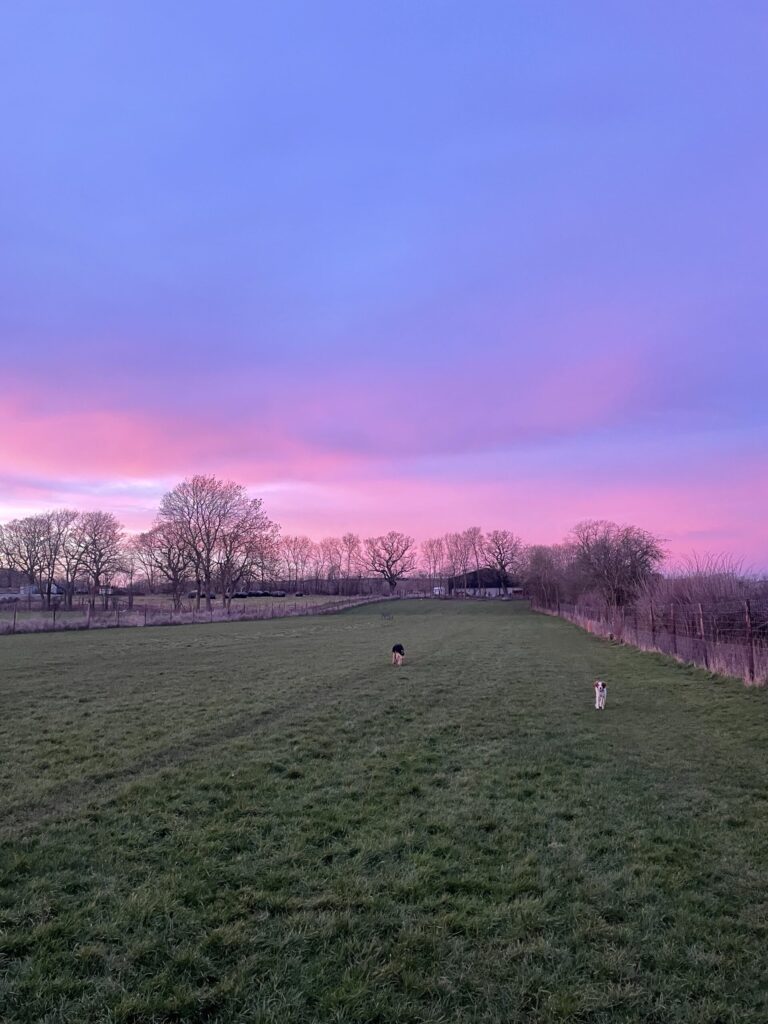 2305 ef5e865a12e6bdf32c8224c974d554c9 1 scaled 768x1024