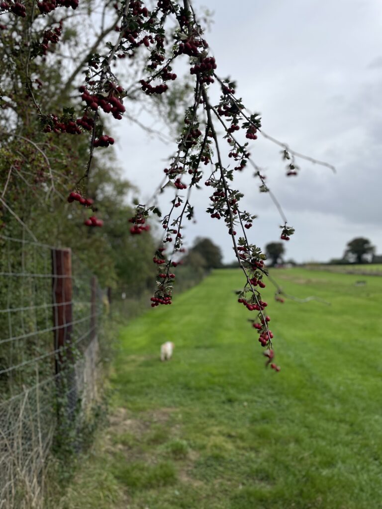 2305 f2375a0267aa344d872befeb8ab7fb8e 1 768x1024