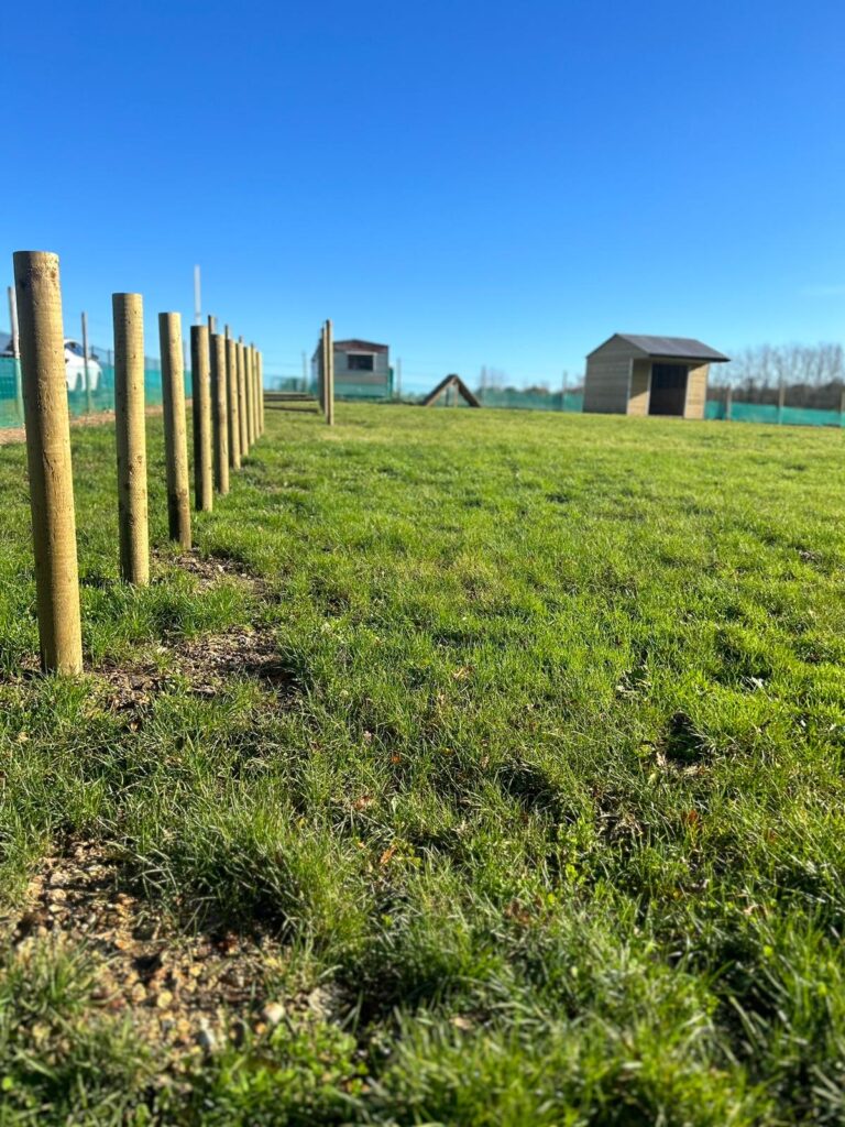 2308 00e72247afbd07c21ef6ade898b172ce 1 768x1024