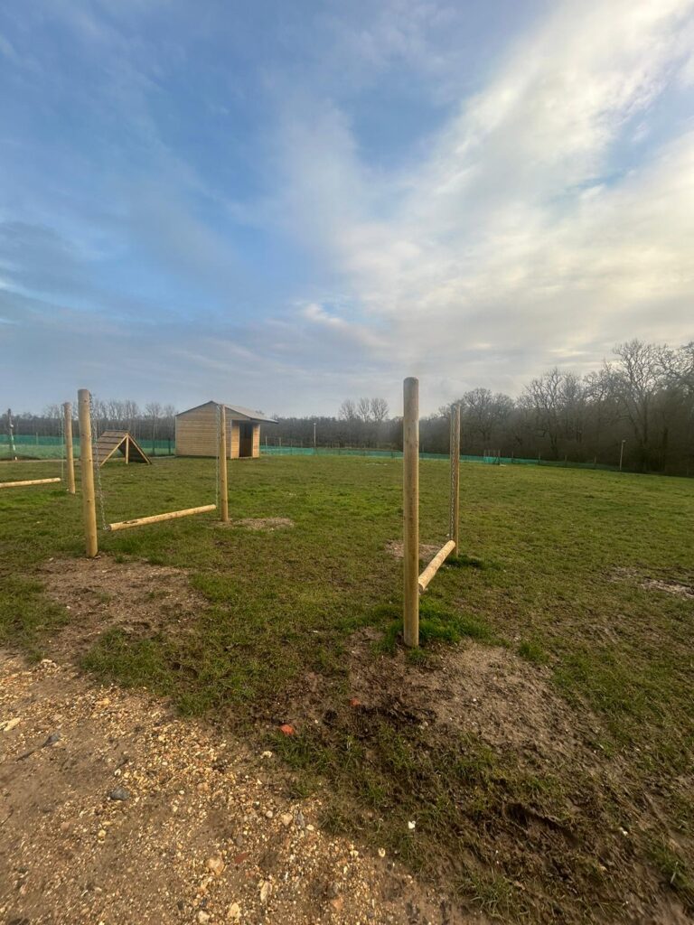 2308 1647e9fdec5ec8f73a4bf2ce9303d58a 1 768x1024