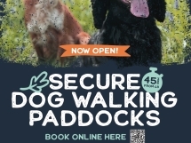 2308 2a3dc163f1b1114fad2f2499c620fe3a 1