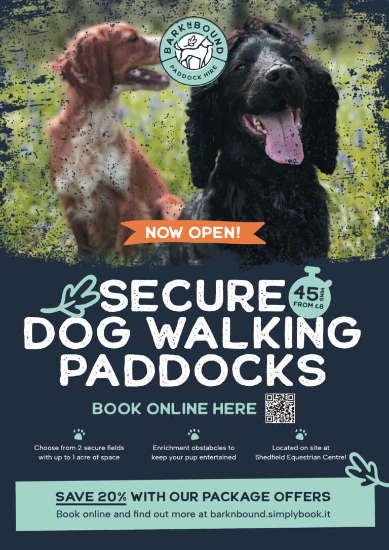 2308 3e004c3366d43231a8af22b5194c1ac7 1 768x1085