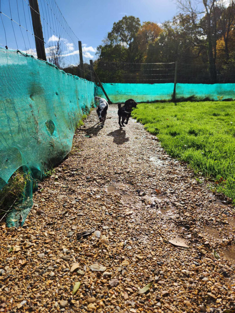 2308 53f1f2bcc98fa14e3b87cea08e3ff546 1 768x1024