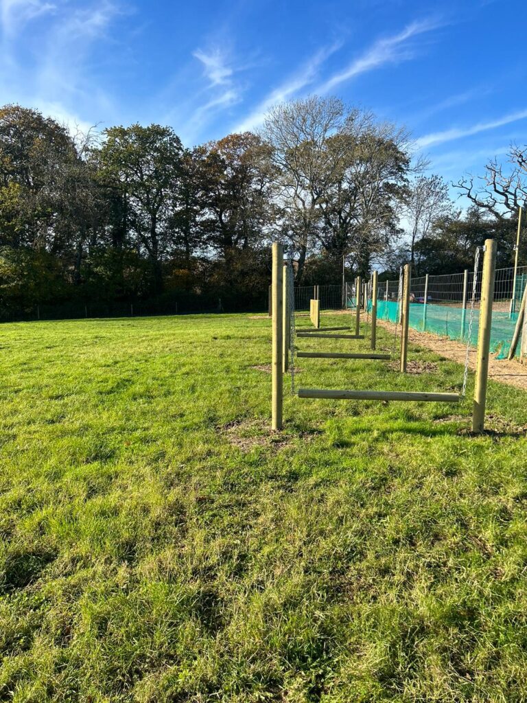 2308 61470b7b36150490c7a319f12fbb07dd 1 768x1024