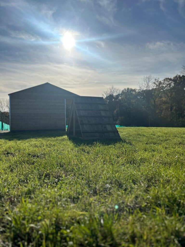 2308 a81ccea5b5e82d7d104d72d03cbcb104 1 768x1024