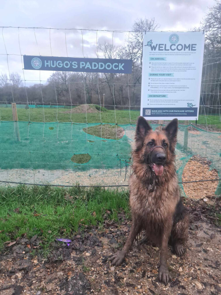 2308 cdae5ae103f83c56bab0ac7117285548 1 768x1024