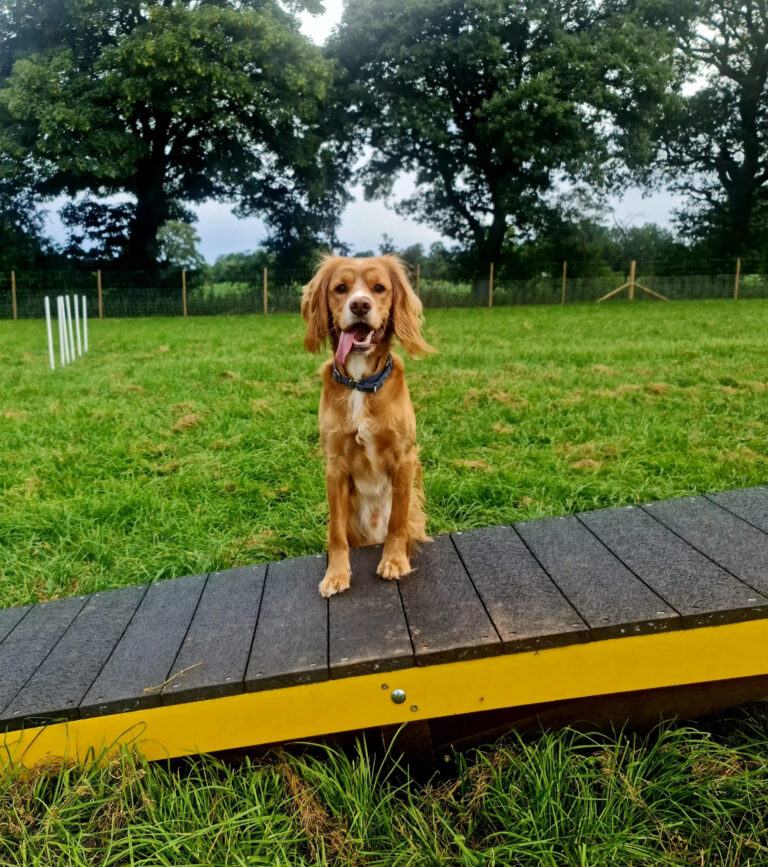 2309 643bc7c6fc4d5c42127b2c283888659c 1 768x867