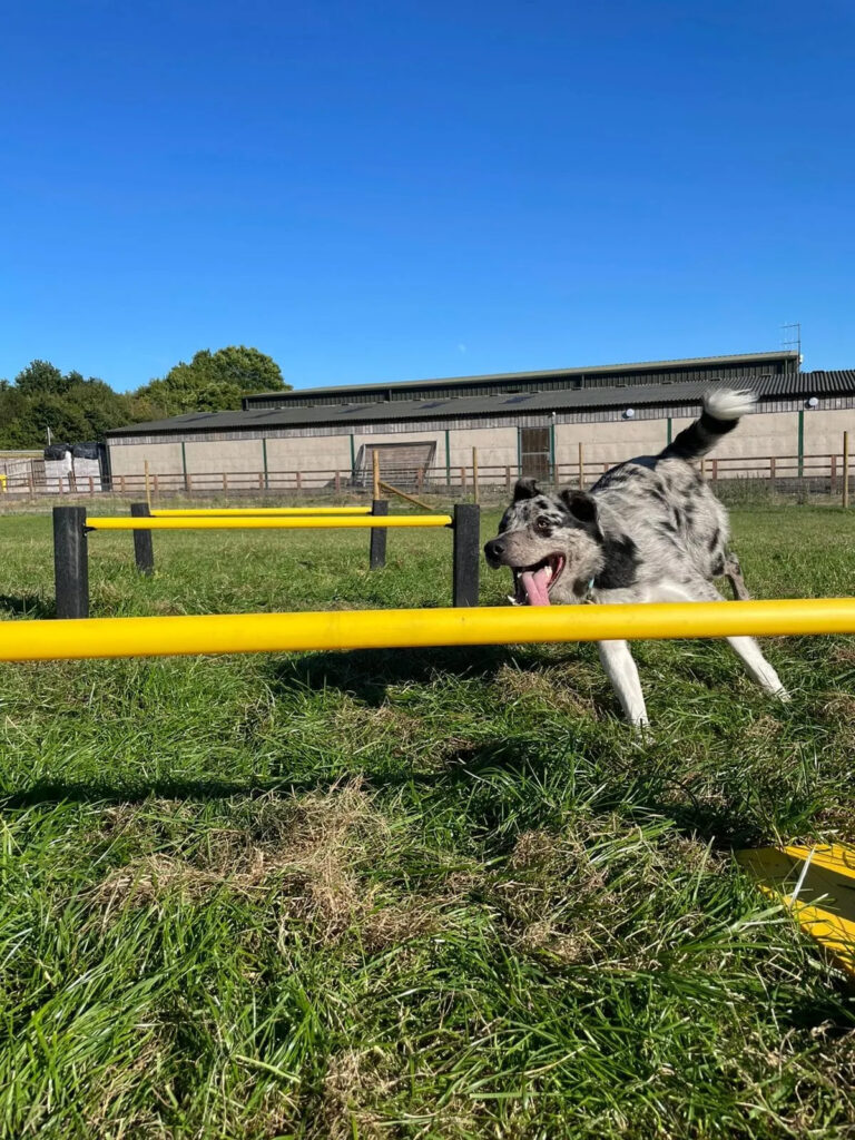 2309 8d3c780b26f559eaa2b717a53f49ae66 1 768x1024