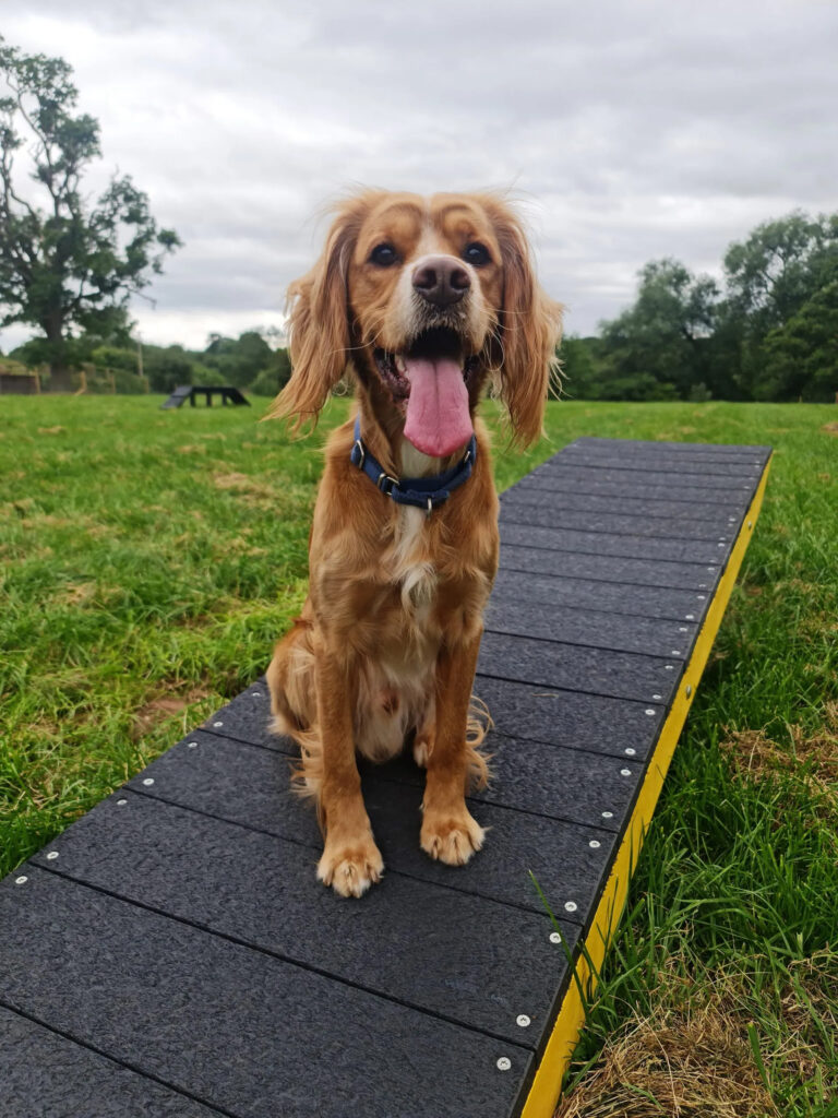 2309 af1229d37b7129c20467a648d7cdb51d 1 768x1024