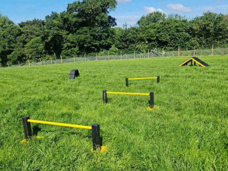 2309 b7d6794f768d7462fdb6867762e7823a 1 768x576