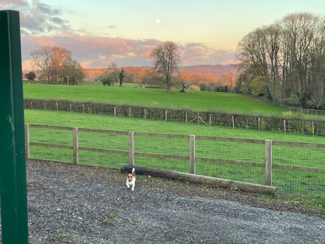 2310 9419bea3e27396b80fd5d1a2453ee673 1