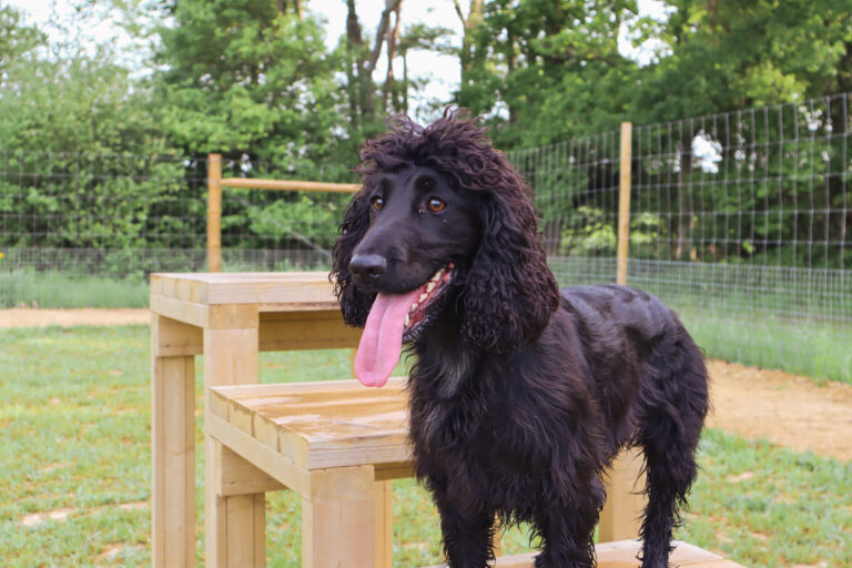 2312 397245d93f3a100ced3c7aa6b2d7c578 1 768x512